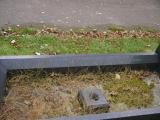 image of grave number 196198